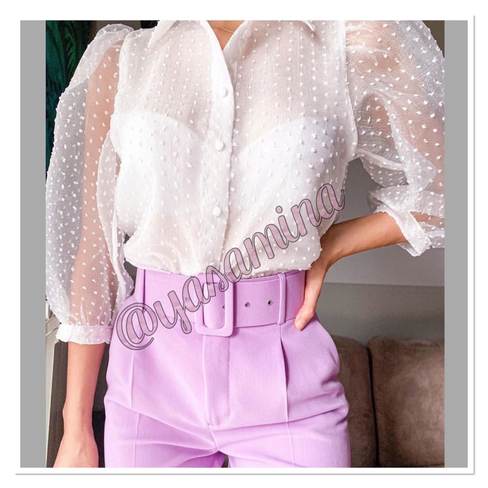 Zara organza sleeves top, bloggers favorite - Picture 11 of 16